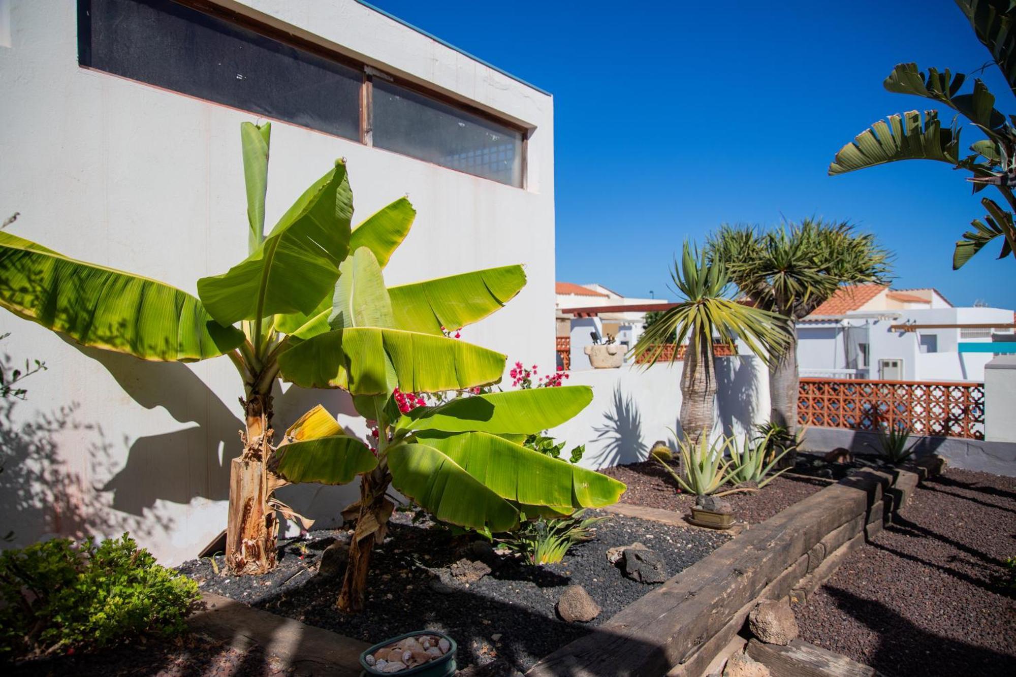 Casa Las Palmeras Parque Holandes Dış mekan fotoğraf